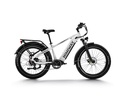 Himiway D5 (Zebra) Color White - Tiki EV
