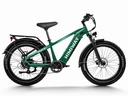 Himiway D5 (Zebra) Color Emerald Green Tiki EV PSL