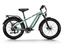 Himiway D5 (Zebra) Color Green Tiki EV Port St Lucie