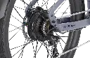 d1_plus_sp_4_1.webp